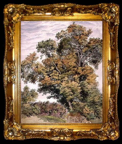 framed  Thomas frederick collier Study of an Oak Tree, ta009-2